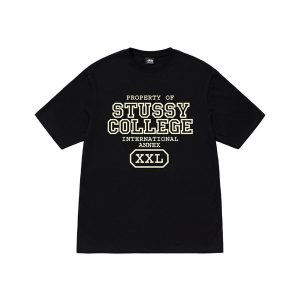 Stussy Merch Property Noir Tee