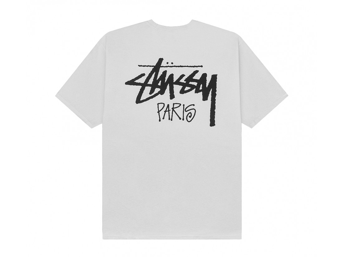 Stussy-Paris-Tee-Fog (2)
