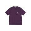 Stussy Merch Violet Maillot